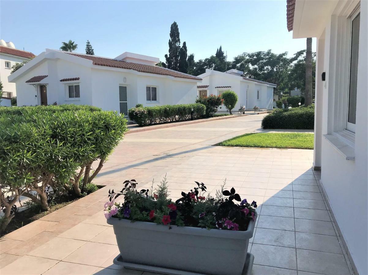 Fig Tree Z Holiday Resort Paralimni Exteriör bild